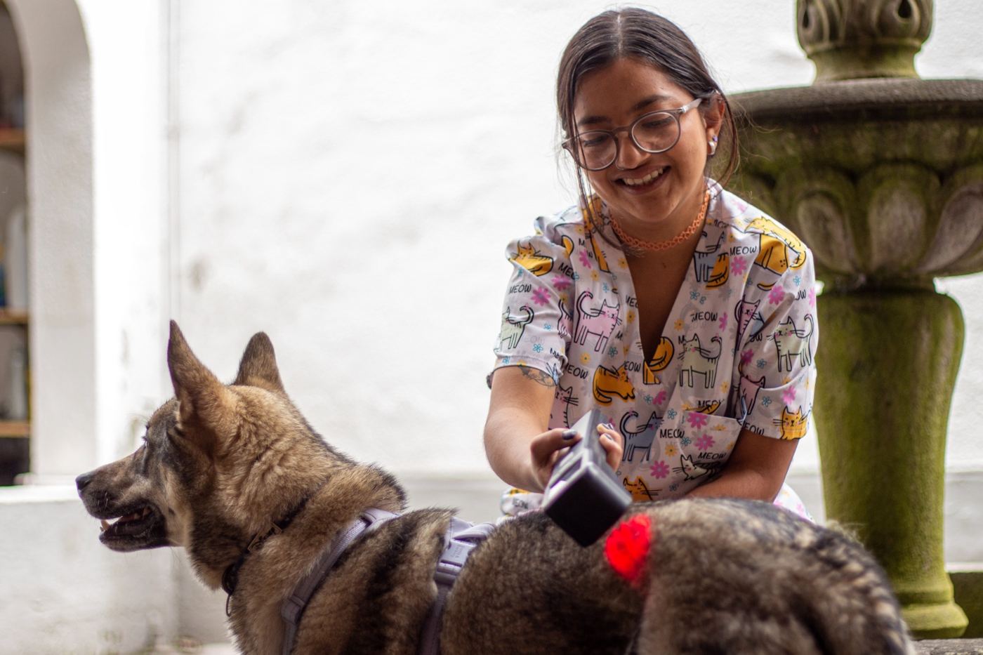 María Daniela del Hierro atendiendo a un perro con terapia de luz